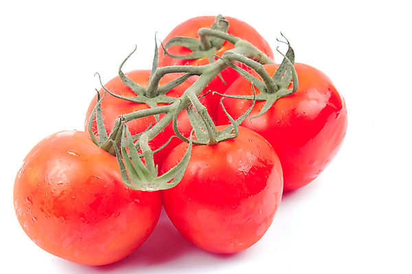 포토 JPG 해외이미지 음식 백그라운드 잎 다이어트 토마토 채소 과일 재료 자연 건강 요리 사람없음 빨간색 초록색 빛 주방 정원 샐러드 흰색 물방울 신선 체리 그룹 먹기 유기농 내추럴 고립 채식주의자 해외202004 해외포토 식물 웰빙 컬러 모션 생태계 채식 파일형식 이미지허브