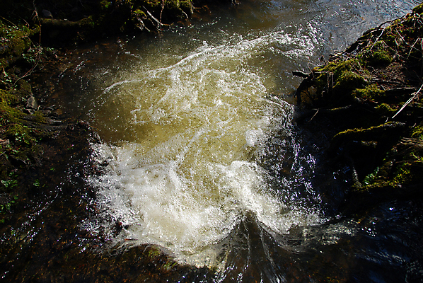 포토 JPG 해외이미지 공원 호수 잎 모션 자연 산 이끼 풍경 사람없음 야외 초록색 물 강 평화 봄 폭포 젖음 흐름 가을 바위 흰색 개울 떨어짐 매끈함 수증기 숲 시원함 뿌리 체코 스플래쉬 해외202004 해외포토 자연요소 식물 계절 공공시설 유럽 컬러 컨셉 돌_바위 감각 생태계 파일형식 이미지허브
