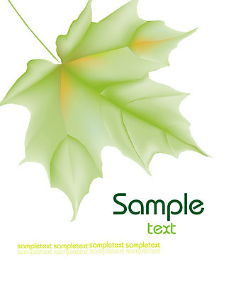 EPS 해외이미지 나무 식물 디자인 계절 백그라운드 단풍 잎 캐나다 꽃무늬 패턴 오렌지 일러스트 자연 목재 그래픽 장식 빨간색 컬러풀 노란색 가을 달콤 9월 11월 심볼 그림 10월 엘리먼트 플라타너스 해외202004 해외일러스트 꽃 컬러 북아메리카 무늬 과일 재료 날짜 맛 생태계 파일형식 벡터 이미지허브