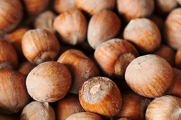 포토 JPG 해외이미지 식물 음식 백그라운드 일러스트 재료 자연 건강 씨앗 사람없음 갈색 견과류 흰색 오브젝트 유기농 질감 내추럴 헤이즐넛 해외202004 해외포토 웰빙 컬러 생태계 파일형식 이미지허브