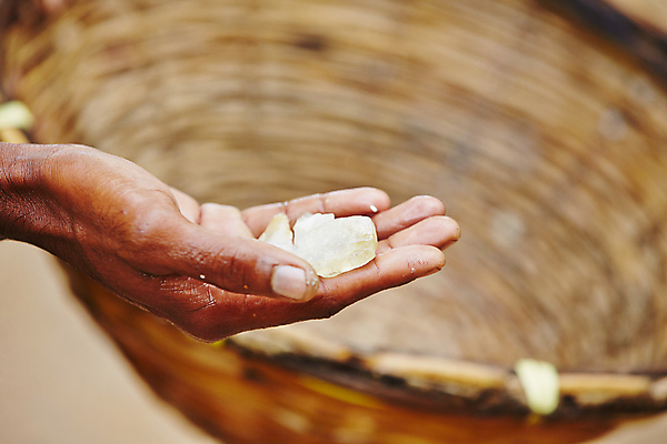 포토 JPG 해외이미지 직업 전통 손 아시아 손가락 자연 노동자 손바닥 선물 사람 사람없음 바구니 탐험 바위 작업 재산 고급 빨래 보석 검색 날것 보여주기 보물 스리랑카 지질학 카피스페이스 해외202004 해외포토 교육 나라 컨셉 가사 모션 신체부위 금융 공백 돌_바위 광석 생태계 파일형식 이미지허브