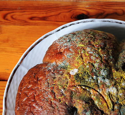 포토 JPG 해외이미지 접시 음식 빵 탁자 사람없음 목재 주방 손상 환경오염 지저분함 불쾌함 곰팡이 옛날 해외202004 해외포토 나무 식기 감정 가구 컨셉 재료 감각 파일형식 이미지허브