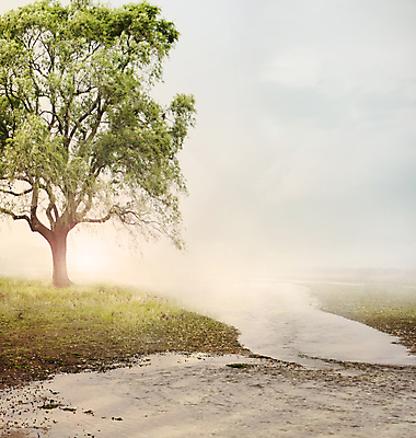 포토 JPG 해외이미지 나무 드레스 백그라운드 자연 하늘 미술 풍경 사람없음 물 빛 강 햇빛 태양 평화 일출 환경 침묵 고요 황혼 일몰 새벽 꿈 개울 장면 공상 마법 천국 몽환 카피스페이스 해외202004 해외포토 자연요소 식물 옷 컨셉 문화예술 노을 소리 공백 생태계 파일형식 이미지허브