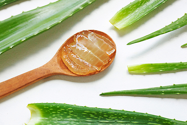 포토 JPG 해외이미지 스튜디오촬영 실내 사람없음 초록색 흰배경 나무숟가락 알로에 해외202004 해외포토 식물 컬러 백그라운드 내부 숟가락 흰색 파일형식 이미지허브