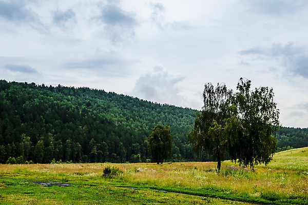 포토 JPG 해외이미지 구름 유럽 여행 잎 밭 자연 휴식 산 거리 파노라마 사람 풍경 사람없음 농장 환경 가을 오픈 중앙 숲 생태계 기회 역동적 먼지 발견 내추럴 무한 현실 안락 해외202004 해외포토 자연요소 식물 계절 나라 컨셉 농업 촬영기법 파일형식 이미지허브