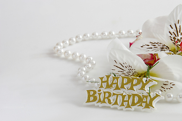 포토 JPG 해외이미지 꽃 백그라운드 컨셉 목걸이 기념 사람없음 빛 파티 유행 흰색 축하 생일 보석 사인 해외202004 해외포토 식물 기념일 컬러 장신구 이벤트 광석 파일형식 이미지허브