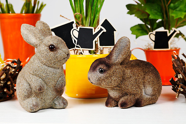 포토 JPG 해외이미지 동물 전통 커플 꽃 백그라운드 가족 휴가 부활절 앉기 사람없음 장식 갈색 봄 피규어 회색 흰색 축하 토끼 냄비 오브젝트 고립 인공 해외202004 해외포토 식물 계절 기념일 컬러 컨셉 포유류 관계 모션 반려동물 미니어처 솥 파일형식 이미지허브