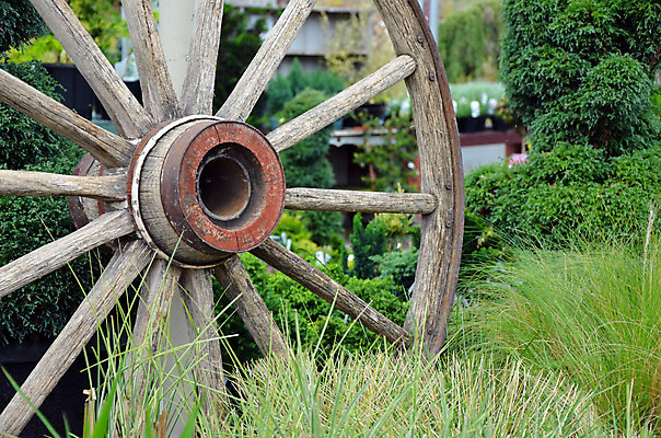 포토 JPG 해외이미지 식물 자연 사람없음 목재 장식 초록색 정원 시골 바퀴 부식 원예 해외202004 해외포토 나무 컬러 재료 취미 생태계 파일형식 이미지허브