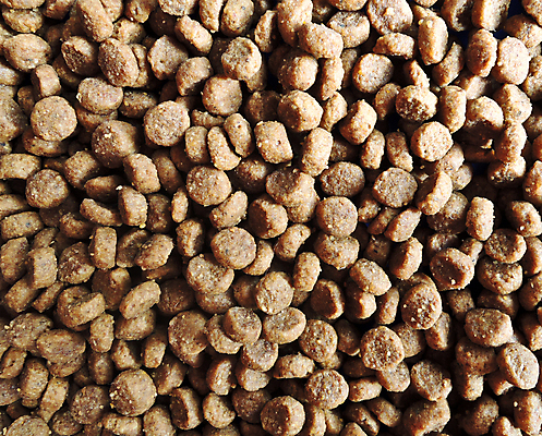 포토 JPG 해외이미지 동물 산업 음식 백그라운드 패턴 다이어트 공 뼈 건조 건강 육류 사람없음 빨간색 반려동물 컬러풀 갈색 쌓기 쿠키 식사 저녁식사 고양이 회색 흰색 대접 닫기 개 맛 강아지 작음 먹이 질감 흙더미 송곳니 단백질 칼슘 평야 많음 해외202004 해외포토 컬러 컨셉 무늬 식재료 포유류 모션 자연 디저트 흙 치아 크기 영양소 파일형식 더미 이미지허브