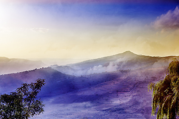 포토 JPG 해외이미지 나무 식물 구름 계절 여행 백그라운드 자연 하늘 아침 휴가 산 풍경 사람없음 야외 여름 빛 햇빛 태양 일출 환경 일몰 봄 새벽 안개 가을 시골 저녁 숲 땅 장면 천국 내추럴 생태학 해외202004 해외포토 주간 자연요소 교육 날씨 노을 야간 생태계 파일형식 이미지허브