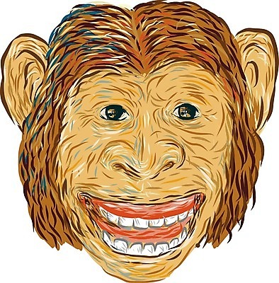 EPS 해외이미지 일러스트 잉크 미소 그래픽 원숭이 스케치 흰배경 그림 손그림 스크래치 유인원 침팬지 고립 핸드메이드 해외202004 해외일러스트 포유류 표정 미술 흰색 파일형식 벡터 동물 컬러 문화예술 이미지허브
