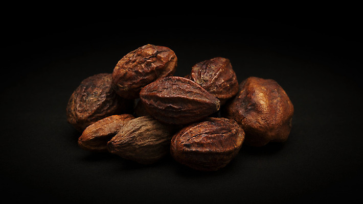 포토 JPG 해외이미지 과일 검은배경 씨앗 사람없음 쌓기 검은색 조미료 인도인 수집 허브 향신료 유기농 성분 해외202004 해외포토 외국인 식물 웰빙 컬러 백그라운드 모션 동양인 향미료 파일형식 이미지허브