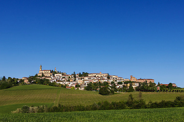 포토 JPG 해외이미지 계절 유럽 밭 자연 풍경 사람없음 야외 마을 와인 봄 이탈리아 시골 언덕 포도밭 타운 피에몬테 해외202004 해외포토 나라 농업 주류 도시 생태계 파일형식 이미지허브