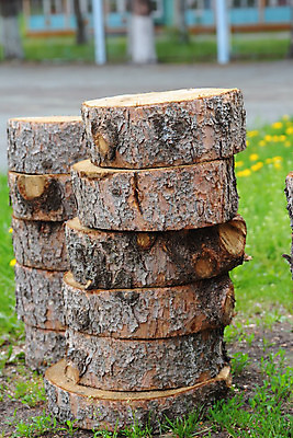 포토 JPG 해외이미지 나무 산업 백그라운드 십자가 패턴 부분 자연 사람없음 목재 갈색 환경 힘 반지 소나무 원형 거친 숲 자르기 묘사 질감 통나무 내추럴 수목 옛날 해외202004 해외포토 도형 식물 컬러 무늬 재료 장신구 모션 생태계 파일형식 이미지허브