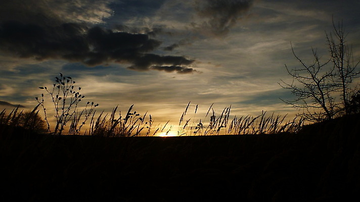 포토 JPG 해외이미지 구름 백그라운드 자연 하늘 풍경 사람없음 가로 태양 일몰 가을 칼날 땅 해외202004 해외포토 자연요소 계절 노을 생태계 파일형식 이미지허브