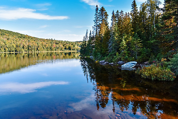 포토 JPG 해외이미지 나무 구름 계절 공원 호수 여행 백그라운드 잎 캐나다 오렌지 자연 산 파노라마 국립공원 풍경 사람없음 야외 빨간색 물 컬러풀 반사 노란색 평화 환경 활발 가을 황무지 숲 9월 11월 언덕 10월 내추럴 강렬 해외202004 해외포토 자연요소 식물 공공시설 컬러 컨셉 북아메리카 과일 촬영기법 날짜 생태계 파일형식 이미지허브