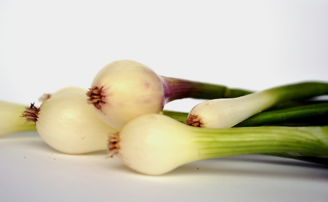 포토 JPG 해외이미지 채소 양파 사람없음 초록색 샐러드 흰색 신선 조직 호흡 굽기 허브 성분 리빙 고립 채식주의자 해외202004 해외포토 식물 음식 컬러 구이 채식 파일형식 이미지허브