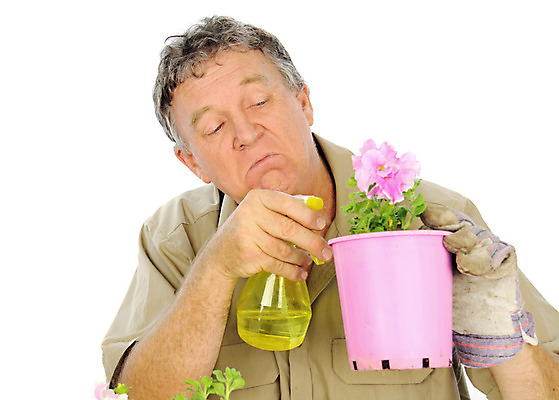 포토 JPG 해외이미지 식물 응시 꽃 행복 중년 잎 한명 물 성장 잡기 작업 뿌리기 만족 물주기 스프레이 분무기 조심 모종 원예사 해외202004 해외포토 자연요소 직업 1 시선 감정 모션 사람 성인 파일형식 이미지허브