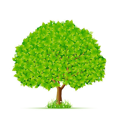 포토 JPG 해외이미지 나무 아이콘 디자인 꽃 잎 일러스트 자연 추상 형상 그림자 미술 사람없음 그래픽 초록색 봄 재활용 성장 나뭇가지 보호 심볼 사인 고립 돌봄 해외202004 해외포토 식물 계절 컬러 컨셉 무늬 모션 문화예술 친환경 생태계 파일형식 이미지허브