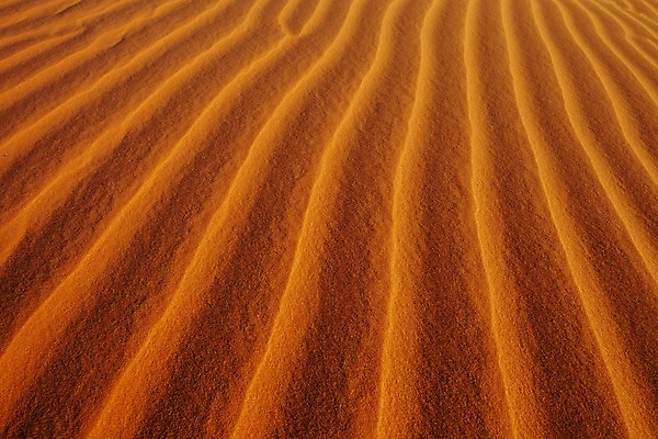 포토 JPG 해외이미지 물결 모래 파도 백그라운드 패턴 곡선 자연 벽지 표면 바람 추상 건조 사람없음 야외 모래사장 노란색 맑음 줄무늬 사막 흰색 뜨거움 황금 모래언덕 질감 지역 사하라 내추럴 잔물결 해외202004 해외포토 자연요소 선 바다 컬러 무늬 아프리카 날씨 언덕 생태계 파일형식 이미지허브