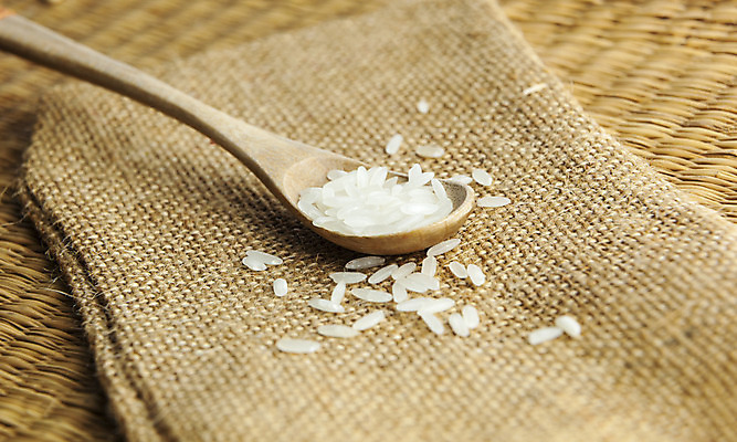 포토 JPG 해외이미지 식물 전통 아시아 음식 백그라운드 농업 재료 밥 건조 건강 식이요법 요리 씨앗 동양인 사람없음 농작물 갈색 쌓기 일본 식사 저녁식사 중국 흰색 상품 낟알 시리얼 먹기 유기농 질감 날것 동쪽 생식 숙성 채식주의자 해외202004 해외포토 웰빙 나라 산업 컬러 모션 인종 방향 채식 파일형식 이미지허브