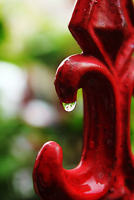 포토 JPG 해외이미지 백그라운드 자연 아침 추상 프레임 사람없음 초록색 물 빛 반사 정원 봄 거품 젖음 흰색 물방울 신선 투명 액체 닫기 떨어짐 보호 이슬 수분 빗방울 철 순수 질감 보케 내추럴 해외202004 해외포토 주간 자연요소 계절 컬러 컨셉 무늬 모션 비_날씨 생태계 파일형식 이미지허브