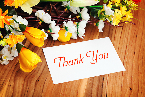 포토 JPG 해외이미지 템플릿 꽃 종이 백그라운드 프레임 사랑 사람없음 사각형 감사 레터링 해외202004 해외포토 도형 식물 감정 파일형식 이미지허브