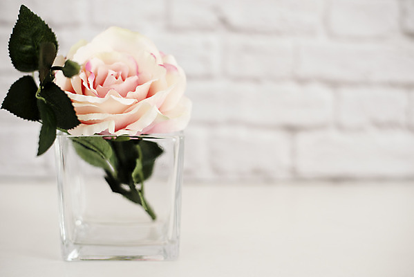 포토 JPG 해외이미지 템플릿 디자인 꽃 포스터 벽 분홍색 백그라운드 꽃무늬 텍스트 탁자 벽돌 주택 발렌타인데이 선물 미술 사람없음 내부 목재 장식 장미 우주 꽃병 공백 방 수확 흰색 신용카드 주식 인쇄 책상 그림 거짓 목업 스타일 방식 세련 해외202004 해외포토 나무 식물 컬러 가구 무늬 농업 재료 데이이벤트 문화예술 건물 금융 파일형식 이미지허브