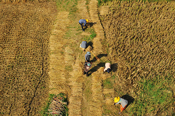 포토 JPG 해외이미지 도로 지구 여행 백그라운드 패턴 밭 날개 자연 조류 휴가 산 안테나 파노라마 풍경 사람없음 야외 옆모습 초록색 여름 파란색 농작물 강 세계 농장 노란색 정원 행성 자유 시골 땅 언덕 질감 각도 장면 모자이크 땅바닥 수평선 해외202004 해외포토 동물 계절 길 뷰포인트 컬러 컨셉 무늬 농업 통신 교통시설 바닥 촬영기법 우주 생태계 파일형식 이미지허브