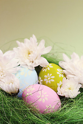 포토 JPG 해외이미지 전통 디자인 계절 꽃 음식 백그라운드 컨셉 패턴 자연 휴가 부활절 국화 선물 사람없음 목재 장식 초록색 컬러풀 노란색 바구니 우주 계란 페인트 봄 흰색 축하 둥지 심볼 내추럴 고립 캐모마일 해외202004 해외포토 나무 식물 기념일 컬러 무늬 재료 알 허브 생태계 파일형식 이미지허브