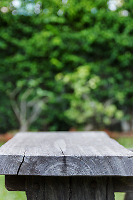 포토 JPG 해외이미지 백그라운드 의자 앉기 사람없음 목재 장식 초록색 정원 오브젝트 핸드메이드 해외202004 해외포토 나무 컬러 가구 재료 모션 파일형식 이미지허브