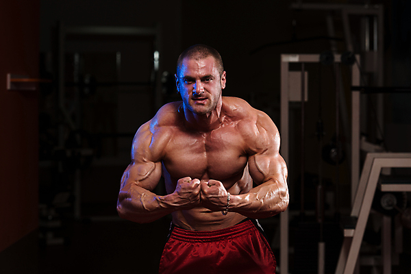 포토 JPG 해외이미지 백인 모델 라이프스타일 남자 스포츠 포즈 근육 실내 건강 한명 성인 신체부위 운동복 어둠 힘 헬스장 웨이트트레이닝 보디빌딩 보디빌더 허리 복지 체육관 근육질 에어로빅 궤 대칭 복근 이두근 성인남자만 해외202004 해외포토 서양인 1 옷 사람 내부 생활 운동 헬스 춤 사회이슈 몸매 남자만 성인만 파일형식 이미지허브