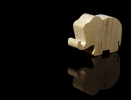 포토 JPG 해외이미지 동물 백그라운드 코끼리 사람없음 검은색 회색 큼 피부 귀 고립 해외202004 해외포토 컬러 포유류 신체부위 크기 파일형식 이미지허브