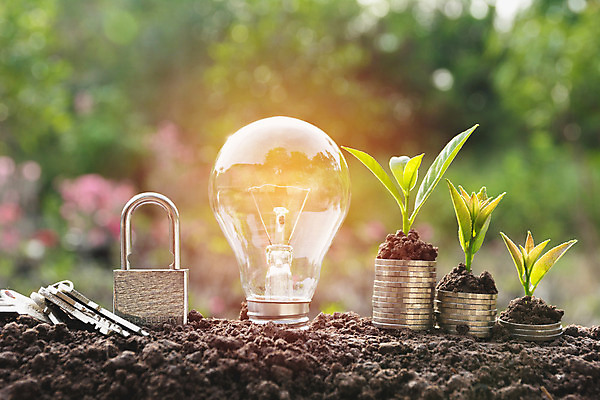 포토 JPG 해외이미지 나무 식물 디자인 백그라운드 컨셉 돈 비즈니스 전구 자연 유리 성공 아이디어 창조 사람없음 금융 경제 빛 쌓기 동전 힘 장비 에너지 성장 흰색 램프 시장 재산 황금 주식 투자 혁명 광 해외202004 해외포토 컬러 모션 재질 조명 생태계 파일형식 이미지허브