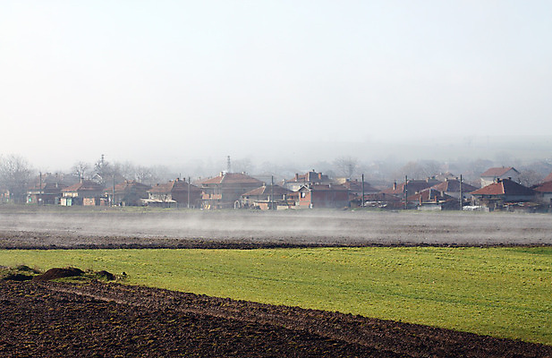 포토 JPG 해외이미지 백그라운드 잎 자연 하늘 아침 풍경 사람없음 야외 빛 평화 마을 일출 안개 시골 뿌연 수평선 해외202004 해외포토 주간 식물 컨셉 날씨 노을 생태계 파일형식 이미지허브