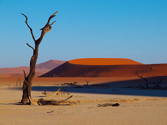 포토 JPG 해외이미지 나무 실루엣 모래 여행 오렌지 아프리카 자연 하늘 아침 산 건조 따뜻함 풍경 사람없음 야외 목재 빨간색 파란색 태양 계곡 맑음 침묵 사막 죽음 뜨거움 고독 그늘 모래언덕 진흙 가뭄 아카시아 나미비아 웅장함 전국 해외202004 해외포토 주간 자연요소 식물 감정 나라 컬러 과일 재료 날씨 촬영기법 소리 언덕 생태계 남아프리카 파일형식 이미지허브