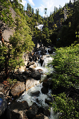 포토 JPG 해외이미지 나무 자연 산 국립공원 풍경 사람없음 초록색 물 파란색 강 미국 폭포 흰색 소나무 개울 황무지 숲 언덕 캘리포니아 요세미티국립공원 해외202004 해외포토 자연요소 식물 공원 컬러 북아메리카 생태계 파일형식 이미지허브