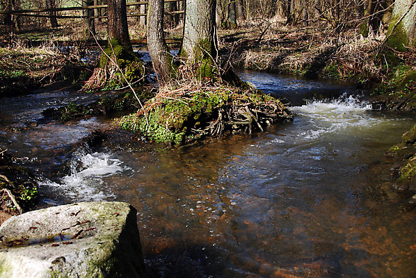 포토 JPG 해외이미지 공원 호수 잎 모션 자연 산 이끼 풍경 사람없음 야외 초록색 물 강 평화 봄 폭포 젖음 흐름 가을 바위 흰색 개울 떨어짐 매끈함 수증기 숲 시원함 뿌리 체코 스플래쉬 해외202004 해외포토 자연요소 식물 계절 공공시설 유럽 컬러 컨셉 돌_바위 감각 생태계 파일형식 이미지허브