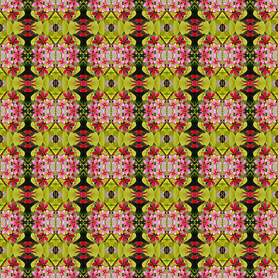 포토 JPG 해외이미지 꽃 분홍색 백그라운드 패턴 자연 벽지 추상 사람없음 장식 빨간색 컬러풀 덩굴 즐거움 향기 선원 해외202004 해외포토 식물 감정 컬러 무늬 생태계 냄새 파일형식 이미지허브