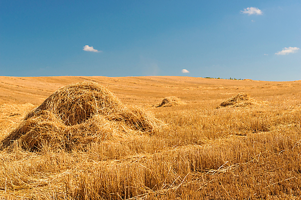 포토 JPG 해외이미지 주간 구름 농업 하늘 풍경 사람없음 야외 농경지 짚더미 뭉치 해외202004 해외포토 자연요소 산업 농장 볏짚 파일형식 더미 이미지허브