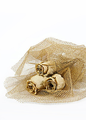 포토 JPG 해외이미지 식물 계절 꽃잎 꽃 줄기 꽃다발 꽃무늬 오렌지 자연 추상 건조 발렌타인데이 사랑 미술 사람없음 장식 장미 수확 벚꽃 죽음 황금 다발 오브젝트 양귀비 내추럴 건포도 옛날 취급주의 해외202004 해외포토 감정 무늬 농업 과일 데이이벤트 포도 문화예술 경고 생태계 건과일 파일형식 이미지허브