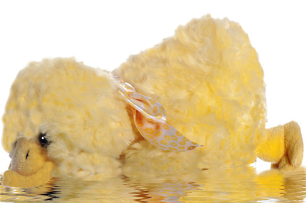 포토 JPG 해외이미지 동물 어린이 인형 백그라운드 포옹 엄마 봉투 털 선물 사랑 사람없음 장난감 갈색 곰인형 흰색 신용카드 강아지 작음 모피 오브젝트 부드러움 솜털 폭식 고립 해외202004 해외포토 감정 컬러 가족 안기 사람 금융 반려동물 감각 개 크기 파일형식 이미지허브