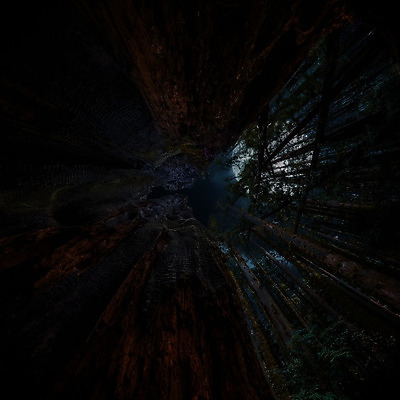 포토 JPG 해외이미지 나무 식물 응시 공원 백그라운드 자연 하늘 풍경 사람없음 야외 목재 가로 초록색 빛 햇빛 여행객 미국 어둠 하이킹 할로윈 달 나뭇가지 야간 숲 큼 무서움 캘리포니아 거인 내추럴 옛날 전국 해외202004 해외포토 자연요소 시선 공공시설 감정 컬러 북아메리카 재료 레저 사람 태양 크기 생태계 파일형식 이미지허브