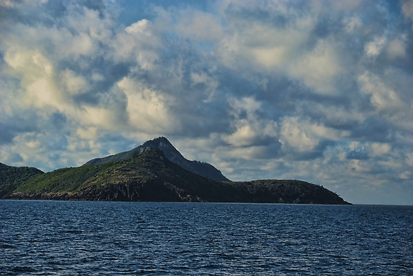 포토 JPG 해외이미지 구름 야생동물 바다 섬 여행 백그라운드 자연 휴가 사람없음 초록색 물 파란색 평화 호주 해외202004 해외포토 자연요소 동물 컬러 컨셉 오세아니아 생태계 파일형식 이미지허브
