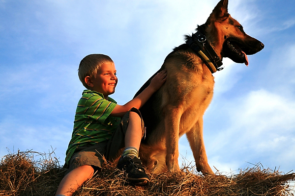 포토 JPG 해외이미지 동물 행복 감정 어린이 장난 자연 놀이 하늘 사랑 한명 미소 웃음 앉기 소년 야외 초록색 여름 파란색 친구 반려동물 금발 맑음 일몰 기쁨 가을 흰색 표현 개 큼 6 흥분 충실 해외202004 해외포토 1 헤어스타일 계절 남자 컬러 포유류 관계 모션 날씨 표정 사람 숫자 노을 크기 생태계 파일형식 이미지허브