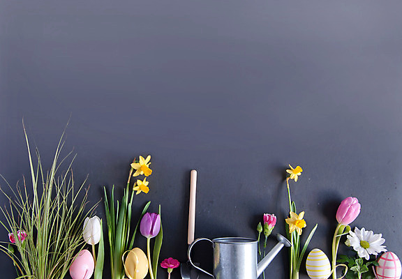 포토 JPG 해외이미지 계절 꽃 행복 백그라운드 컨셉 부활절 사람없음 우주 정원 계란 칠판 봄 공백 튤립 성장 그리기 플랫 분필 데이지 사냥 수선화 줄서기 카피스페이스 해외202004 해외포토 식물 기념일 감정 모션 알 초크 파일형식 이미지허브