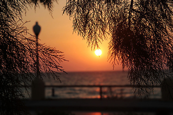 포토 JPG 해외이미지 나무 구름 라이프스타일 파도 바다 섬 여행 자연 휴가 항해 풍경 사람없음 물 여름 파란색 태양 평화 힘 황혼 일몰 산책로 껍질 등불 만 저녁 그리스 타운 그리스인 흥미 해외202004 해외포토 자연요소 서양인 식물 계절 유럽 길 컬러 컨셉 배_교통 조명 생활 노을 도시 야간 생태계 파일형식 이미지허브