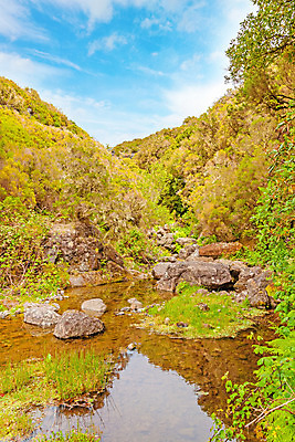 포토 JPG 해외이미지 나무 자연 하늘 풍경 사람없음 초록색 파란색 강 침대 연못 개울 암초 내추럴 채널 해외202004 해외포토 식물 컬러 가구 생태계 파일형식 이미지허브