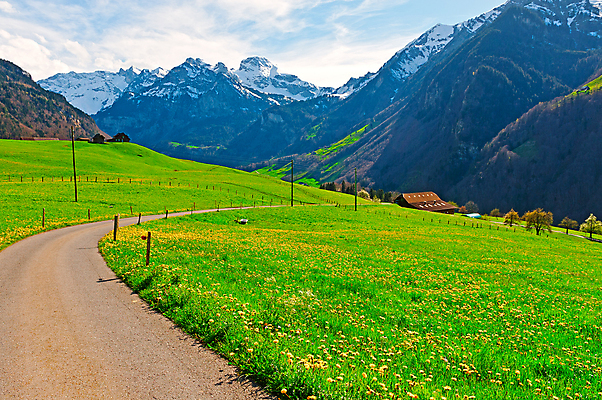 포토 JPG 해외이미지 나무 식물 계절 유럽 도로 길 여행 밭 농업 교통시설 자연 하늘 아침 산 주택 풍경 잔디 사람없음 야외 초록색 파란색 농작물 농가 농장 농경지 봄 수확 성장 시골 숲 아스팔트 땅 스위스 언덕 알프스 땅바닥 옛날 목가 세련 해외202004 해외포토 주간 나라 산업 컬러 교통 바닥 건물 시설 생태계 파일형식 이미지허브