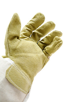 포토 JPG 해외이미지 손 옷 장갑 백그라운드 컨셉 가사 손가락 노동자 주택 관리 작업복 안전 사람없음 건물 장비 흰색 기구 업무 작업 수리 닫기 보호 가죽 공예 목수 원예 기어 고립 복원 업그레이드 해외202004 해외포토 직업 건축물 잡화 컬러 모션 취미 신체부위 파일형식 이미지허브